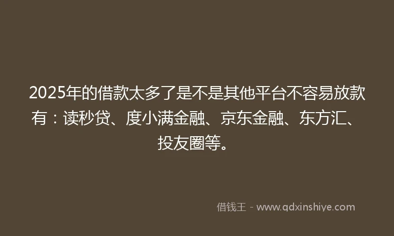 2025年的借款太多了是不是其他平台不容易放款有：读秒贷、度小满金融、京东金融、东方汇、投友圈等。