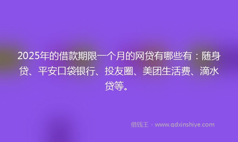 2025年的借款期限一个月的网贷有哪些有：随身贷、平安口袋银行、投友圈、美团生活费、滴水贷等。