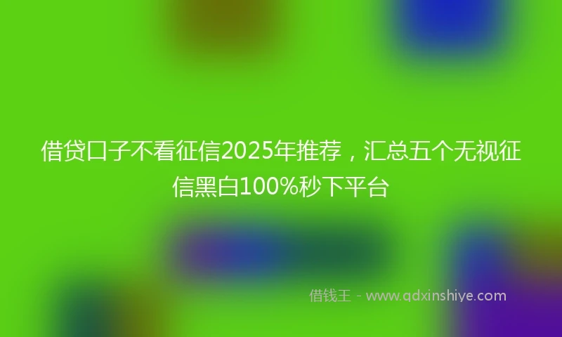 借贷口子不看征信2025年推荐，汇总五个无视征信黑白100%秒下平台