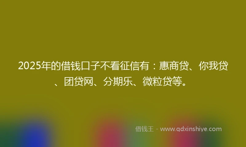 2025年的借钱口子不看征信有：惠商贷、你我贷、团贷网、分期乐、微粒贷等。