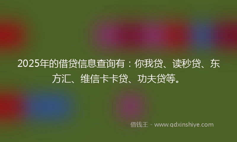 2025年的借贷信息查询有：你我贷、读秒贷、东方汇、维信卡卡贷、功夫贷等。