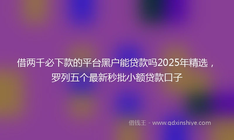 借两千必下款的平台黑户能贷款吗2025年精选，罗列五个最新秒批小额贷款口子