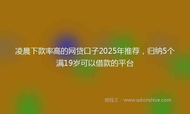 凌晨下款率高的网贷口子2025年推荐，归纳5个满19岁可以借款的平台