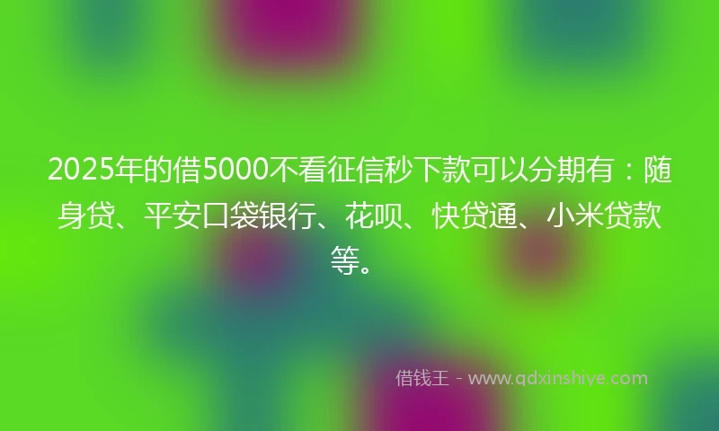 2025年的借5000不看征信秒下款可以分期有：随身贷、平安口袋银行、花呗、快贷通、小米贷款等。