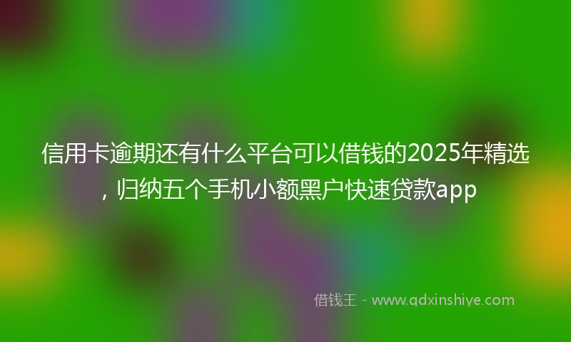 信用卡逾期还有什么平台可以借钱的2025年精选，归纳五个手机小额黑户快速贷款app