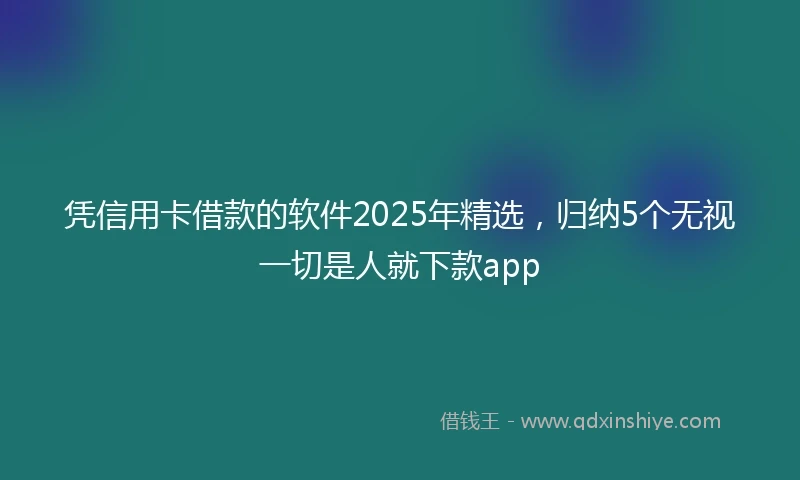 凭信用卡借款的软件2025年精选，归纳5个无视一切是人就下款app