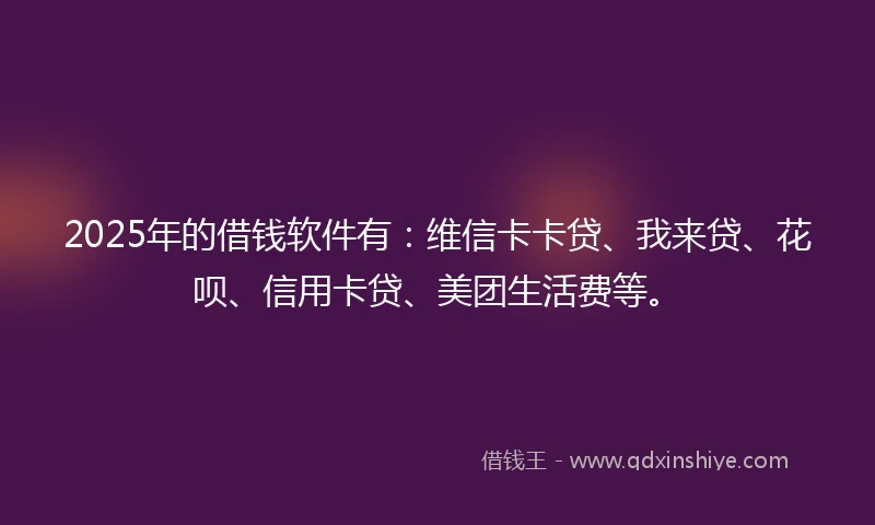 2025年的借钱软件有：维信卡卡贷、我来贷、花呗、信用卡贷、美团生活费等。