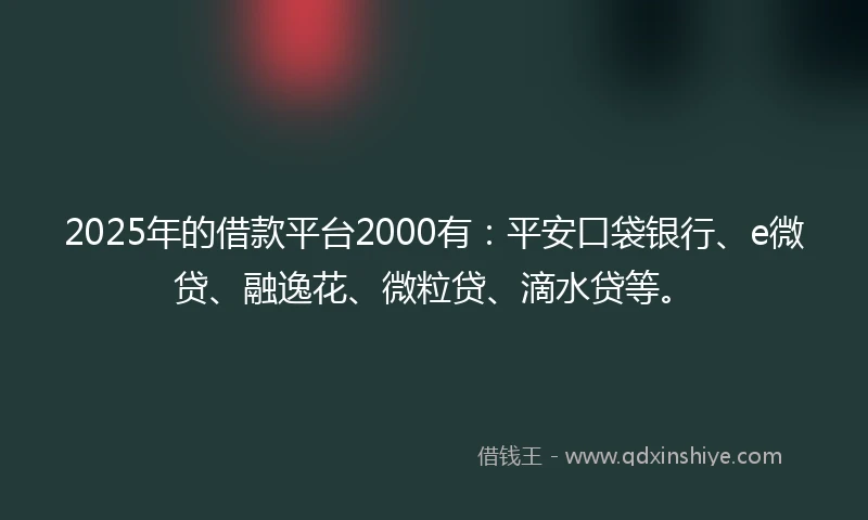 2025年的借款平台2000有：平安口袋银行、e微贷、融逸花、微粒贷、滴水贷等。