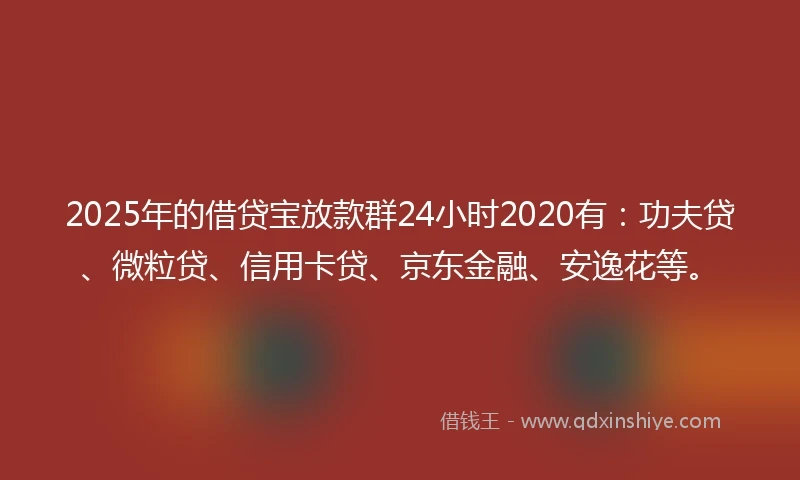 2025年的借贷宝放款群24小时2020有：功夫贷、微粒贷、信用卡贷、京东金融、安逸花等。
