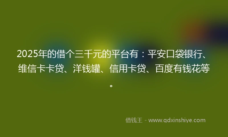 2025年的借个三千元的平台有：平安口袋银行、维信卡卡贷、洋钱罐、信用卡贷、百度有钱花等。