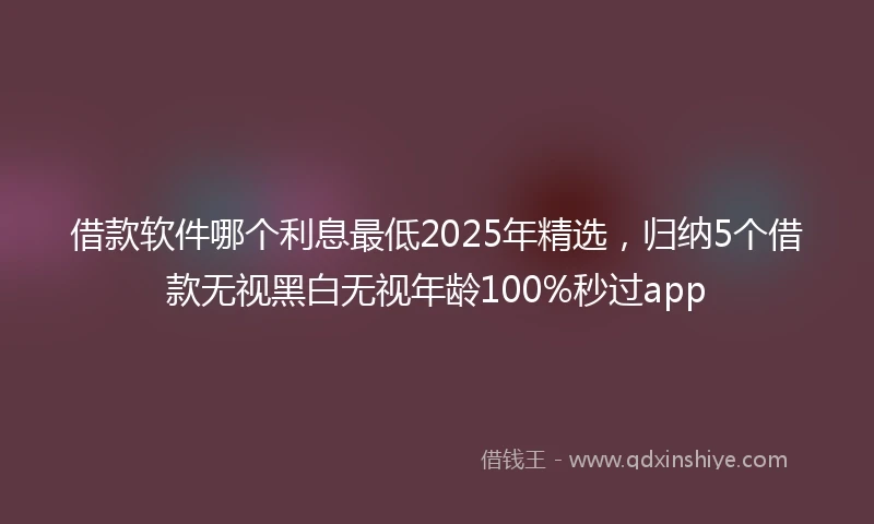 借款软件哪个利息最低2025年精选，归纳5个借款无视黑白无视年龄100%秒过app
