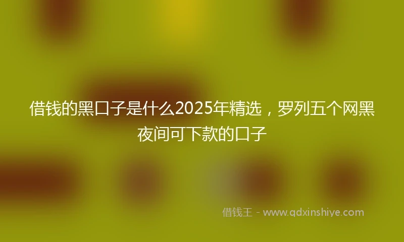 借钱的黑口子是什么2025年精选，罗列五个网黑夜间可下款的口子