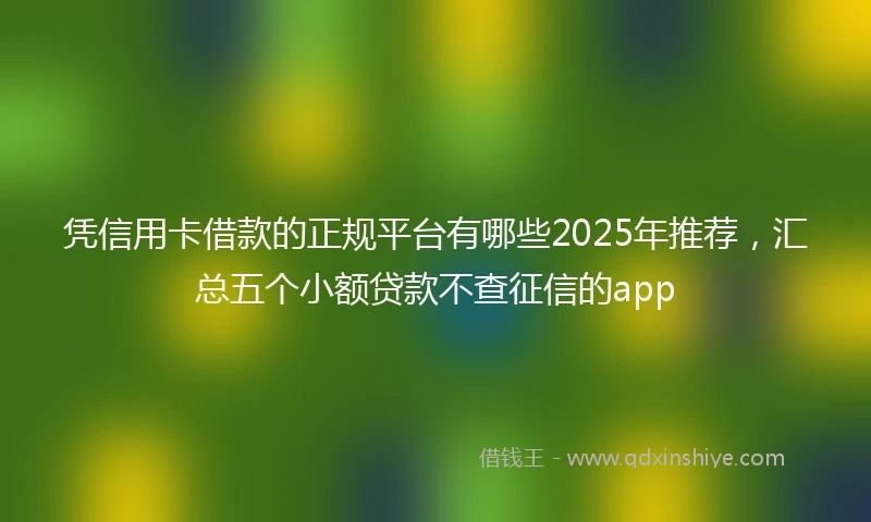 凭信用卡借款的正规平台有哪些2025年推荐，汇总五个小额贷款不查征信的app