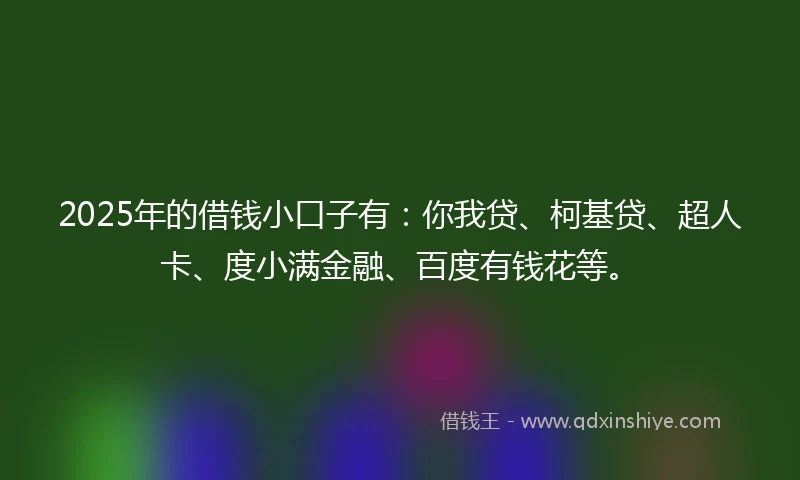 2025年的借钱小口子有：你我贷、柯基贷、超人卡、度小满金融、百度有钱花等。
