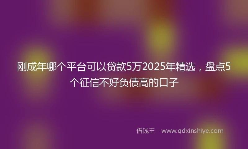 刚成年哪个平台可以贷款5万2025年精选，盘点5个征信不好负债高的口子