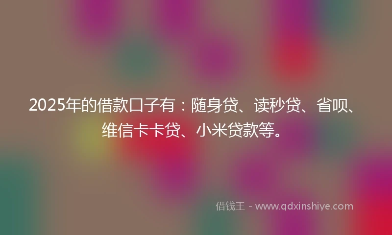 2025年的借款口子有：随身贷、读秒贷、省呗、维信卡卡贷、小米贷款等。
