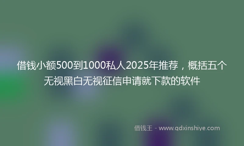 借钱小额500到1000私人2025年推荐，概括五个无视黑白无视征信申请就下款的软件