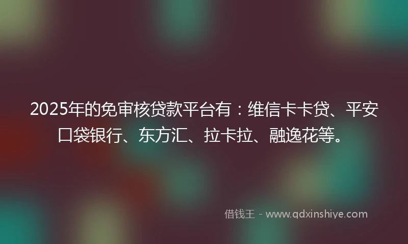 2025年的免审核贷款平台有：维信卡卡贷、平安口袋银行、东方汇、拉卡拉、融逸花等。