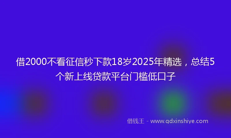 借2000不看征信秒下款18岁2025年精选，总结5个新上线贷款平台门槛低口子
