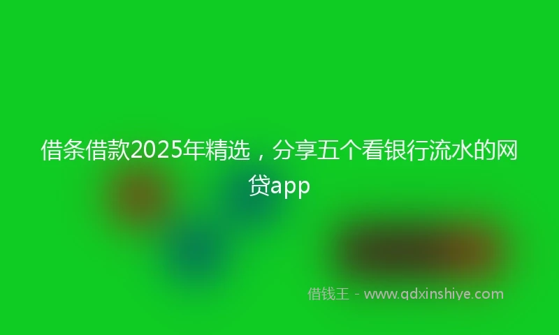 借条借款2025年精选，分享五个看银行流水的网贷app