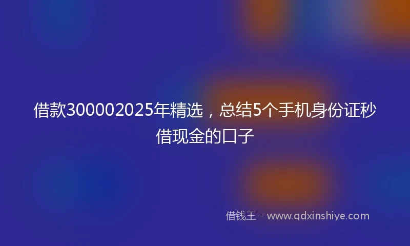 借款300002025年精选，总结5个手机身份证秒借现金的口子