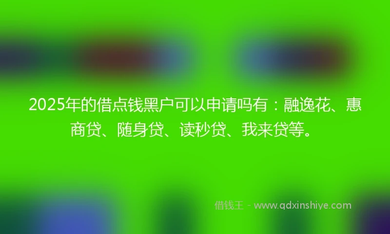 2025年的借点钱黑户可以申请吗有：融逸花、惠商贷、随身贷、读秒贷、我来贷等。