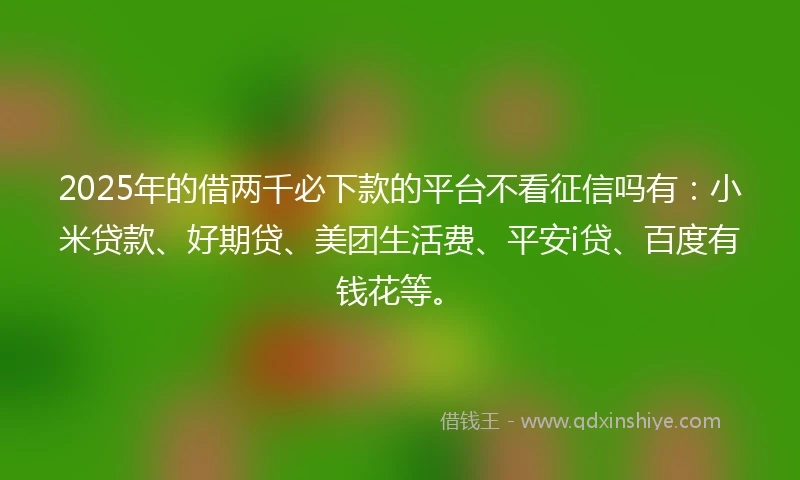 2025年的借两千必下款的平台不看征信吗有：小米贷款、好期贷、美团生活费、平安i贷、百度有钱花等。