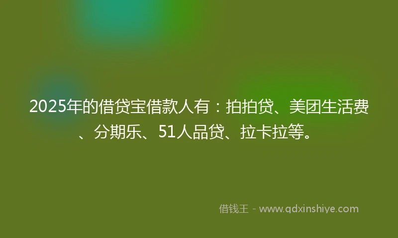 2025年的借贷宝借款人有：拍拍贷、美团生活费、分期乐、51人品贷、拉卡拉等。