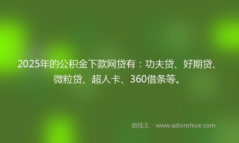 2025年的公积金下款网贷有：功夫贷、好期贷、微粒贷、超人卡、360借条等。