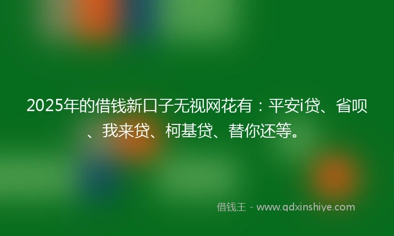 2025年的借钱新口子无视网花有：平安i贷、省呗、我来贷、柯基贷、替你还等。