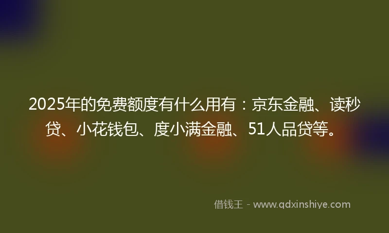 2025年的免费额度有什么用有：京东金融、读秒贷、小花钱包、度小满金融、51人品贷等。