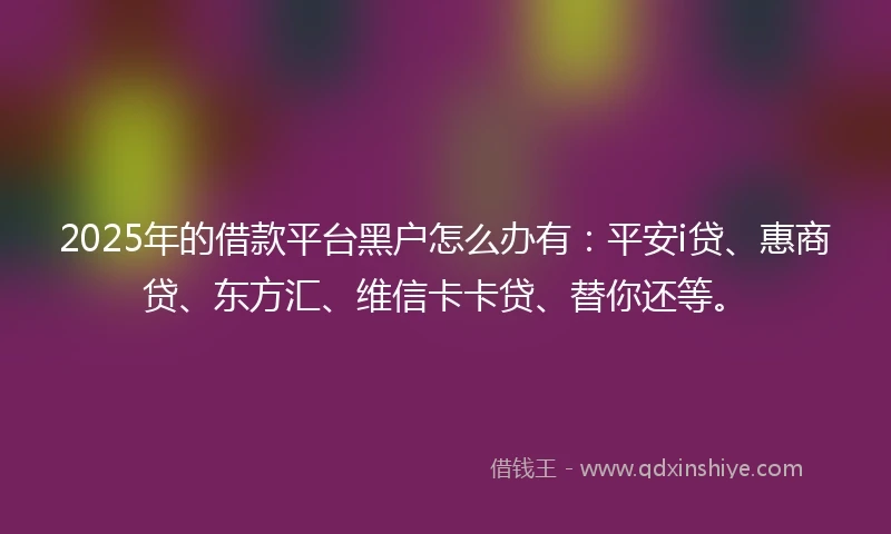 2025年的借款平台黑户怎么办有：平安i贷、惠商贷、东方汇、维信卡卡贷、替你还等。
