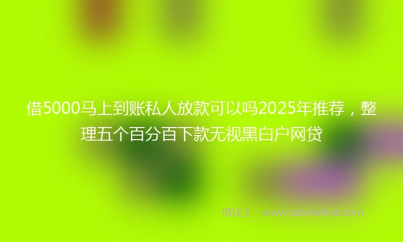借5000马上到账私人放款可以吗2025年推荐，整理五个百分百下款无视黑白户网贷
