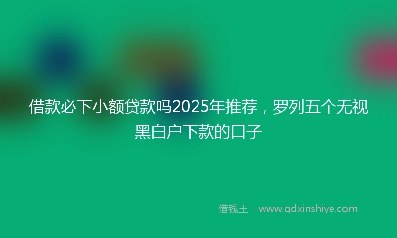 借款必下小额贷款吗2025年推荐，罗列五个无视黑白户下款的口子