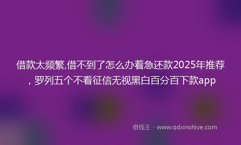 借款太频繁,借不到了怎么办着急还款2025年推荐，罗列五个不看征信无视黑白百分百下款app