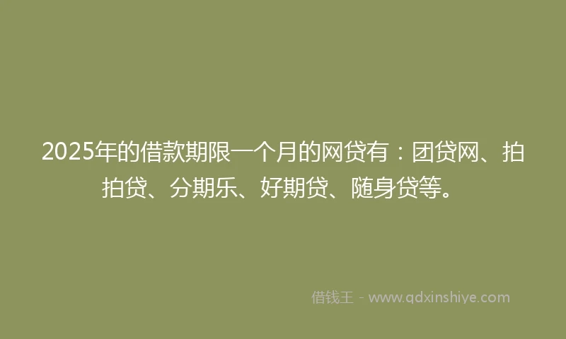 2025年的借款期限一个月的网贷有：团贷网、拍拍贷、分期乐、好期贷、随身贷等。