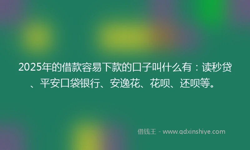 2025年的借款容易下款的口子叫什么有:读秒贷、平安口袋银行、安逸花、花呗、还呗等。