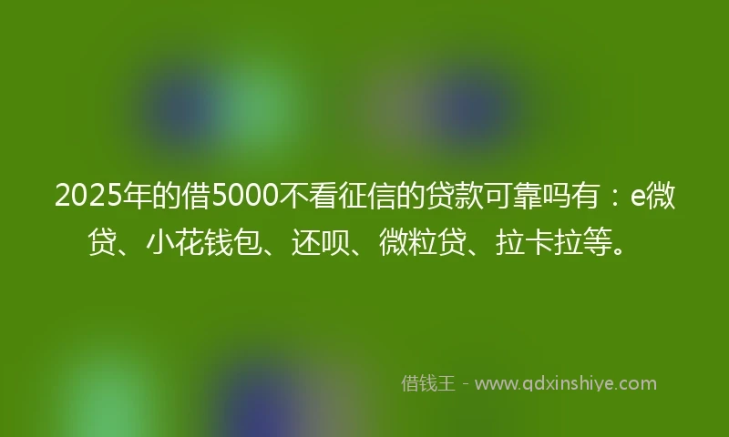 2025年的借5000不看征信的贷款可靠吗有:e微贷、小花钱包、还呗、微粒贷、拉卡拉等。