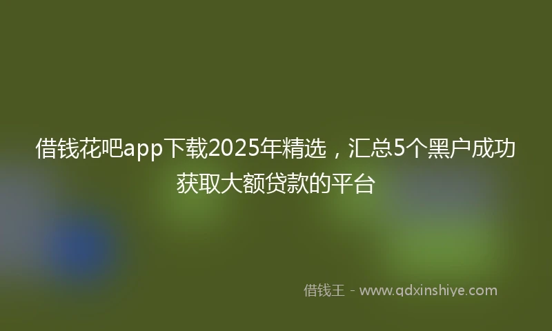 借钱花吧app下载2025年精选，汇总5个黑户成功获取大额贷款的平台