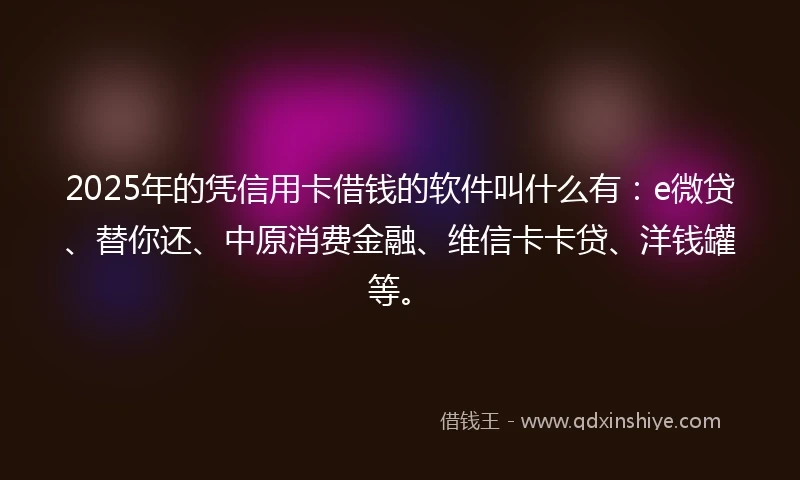 2025年的凭信用卡借钱的软件叫什么有：e微贷、替你还、中原消费金融、维信卡卡贷、洋钱罐等。