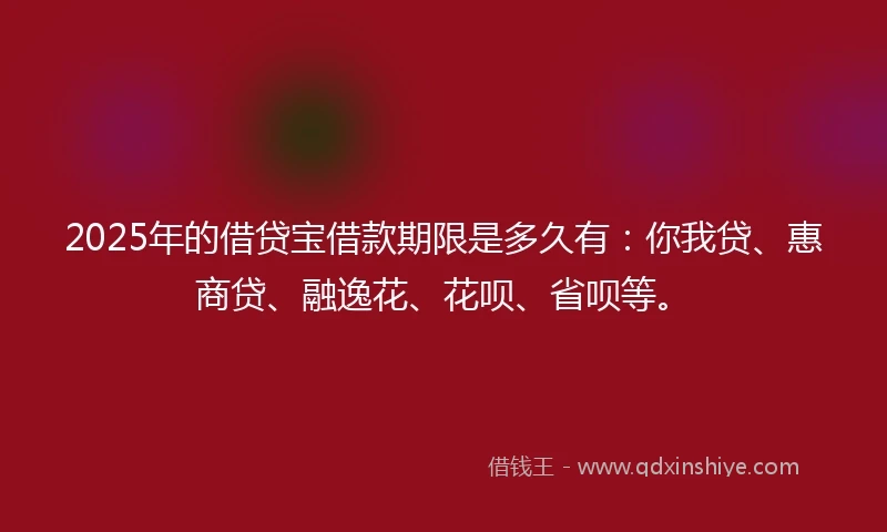 2025年的借贷宝借款期限是多久有：你我贷、惠商贷、融逸花、花呗、省呗等。