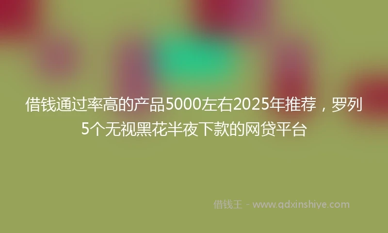 借钱通过率高的产品5000左右2025年推荐，罗列5个无视黑花半夜下款的网贷平台