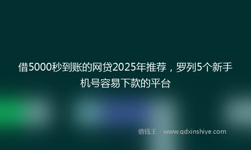 借5000秒到账的网贷2025年推荐，罗列5个新手机号容易下款的平台