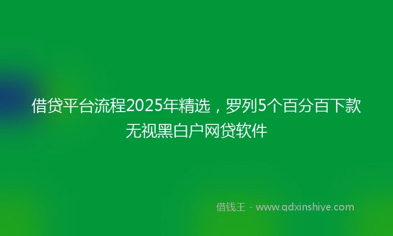 借贷平台流程2025年精选，罗列5个百分百下款无视黑白户网贷软件