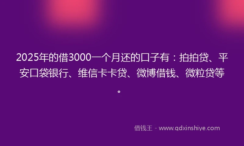 2025年的借3000一个月还的口子有：拍拍贷、平安口袋银行、维信卡卡贷、微博借钱、微粒贷等。