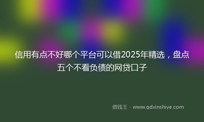 信用有点不好哪个平台可以借2025年精选，盘点五个不看负债的网贷口子