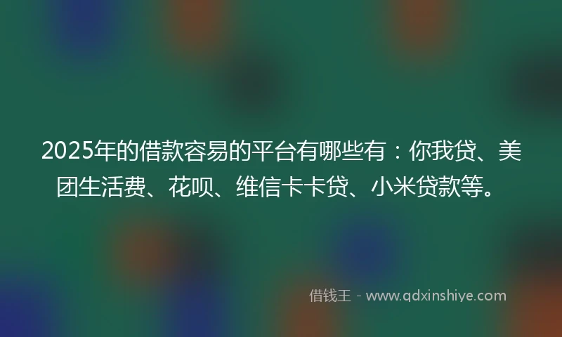 2025年的借款容易的平台有哪些有：你我贷、美团生活费、花呗、维信卡卡贷、小米贷款等。