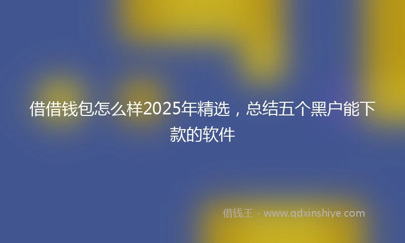 借借钱包怎么样2025年精选，总结五个黑户能下款的软件