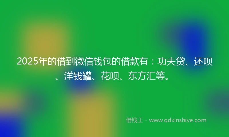 2025年的借到微信钱包的借款有：功夫贷、还呗、洋钱罐、花呗、东方汇等。