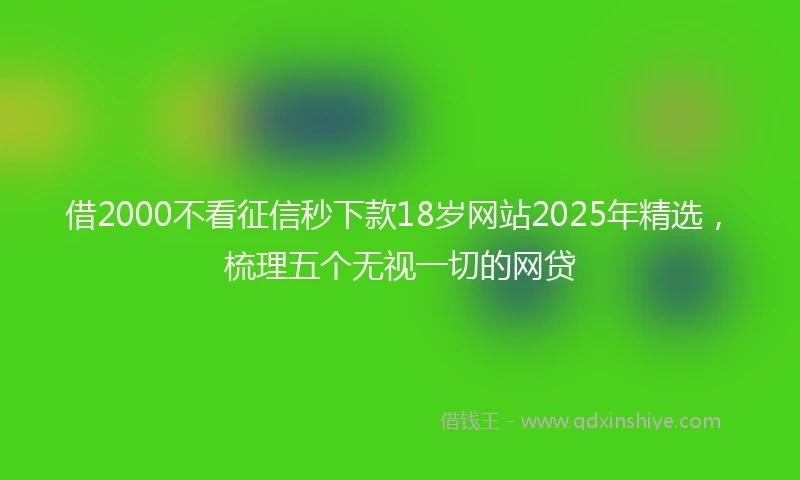 借2000不看征信秒下款18岁网站2025年精选，梳理五个无视一切的网贷